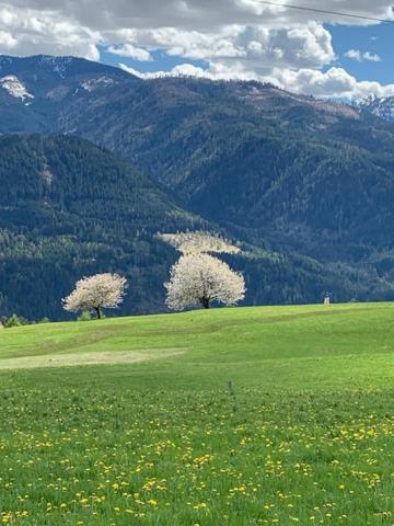 Hotel Alla Rocca วาเรนา ภายนอก รูปภาพ